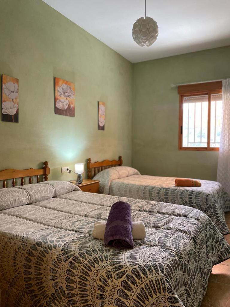 Casa Rural Puente Del Segura Elche de la Sierra Exterior foto