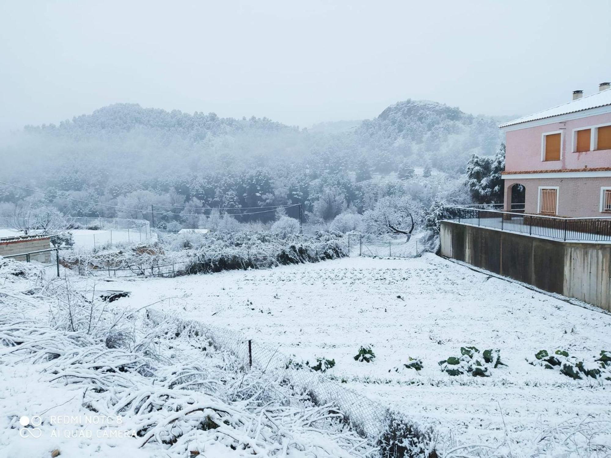 Casa Rural Puente Del Segura Elche de la Sierra Exterior foto