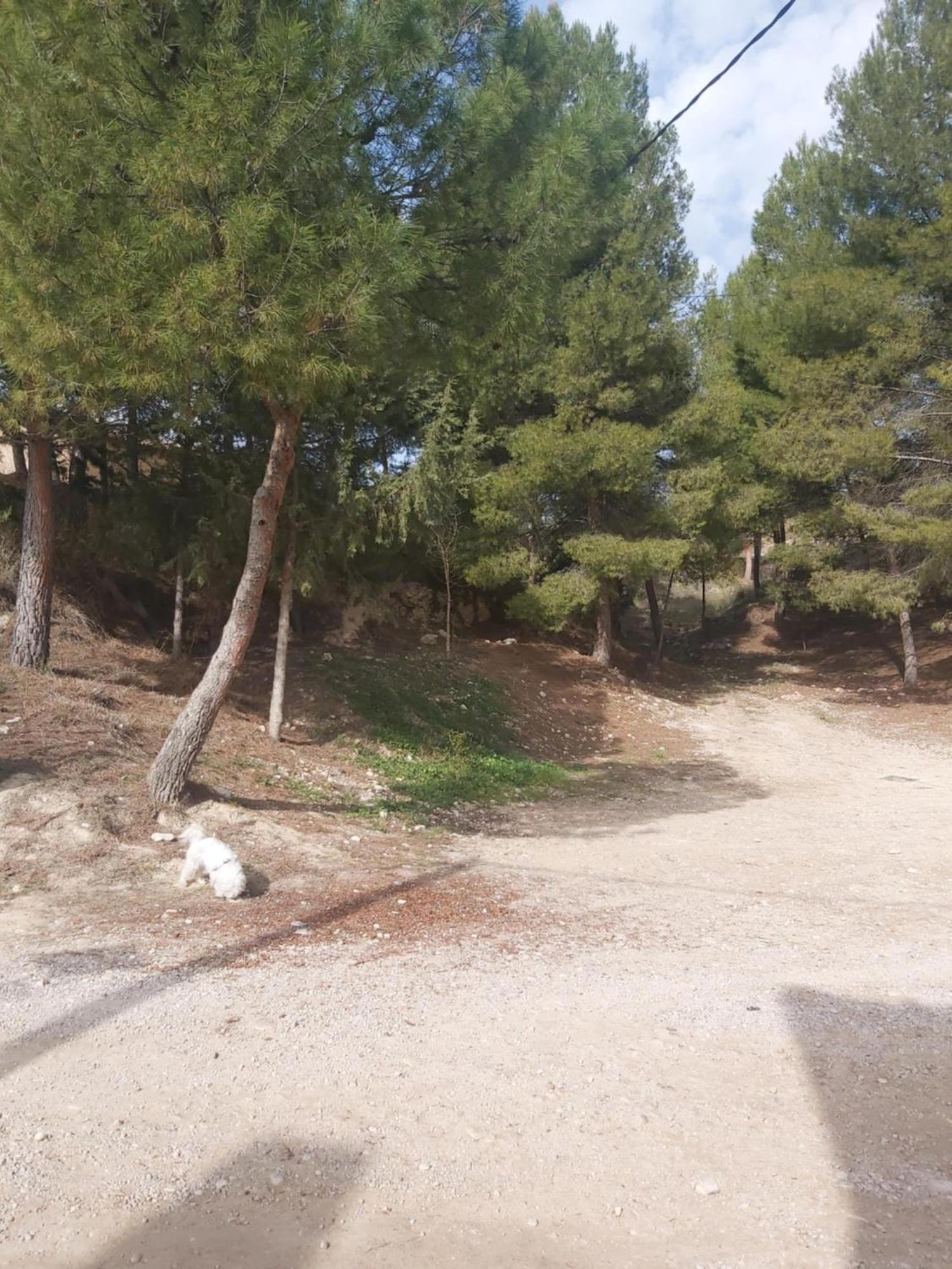 Casa Rural Puente Del Segura Elche de la Sierra Exterior foto